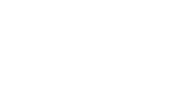 gutter cleaning perth money-back badge